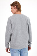 Erkek Rich Bisiklet Yaka Regular Fit 3 İplik Sweatshirt - Gri Melanj